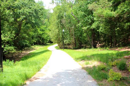 Beaver Ruin Creek Greenway, May 2019