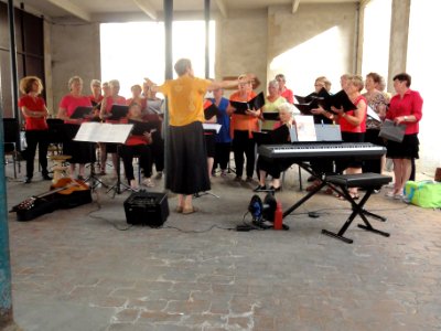 Beaumont-sur-Sarthe (Sarthe), fête de la musique 2019 (03)