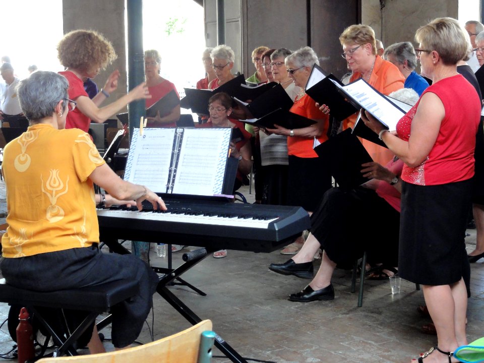 Beaumont-sur-Sarthe (Sarthe), fête de la musique 2019 (11)