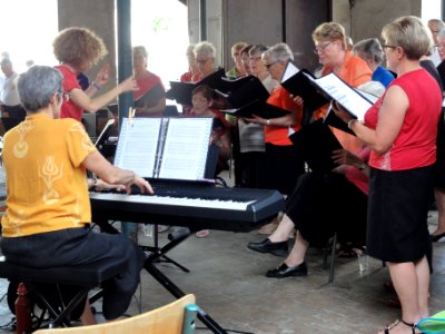 Beaumont-sur-Sarthe (Sarthe), fête de la musique 2019 (11)