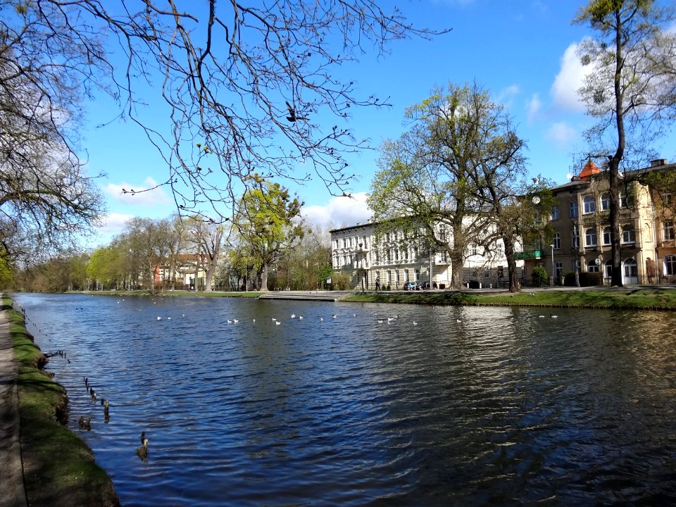 Bdg StaryKanalBydgoski 8 4-2015