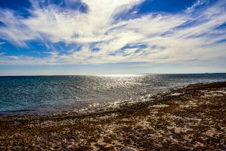 Sea sunlight nature