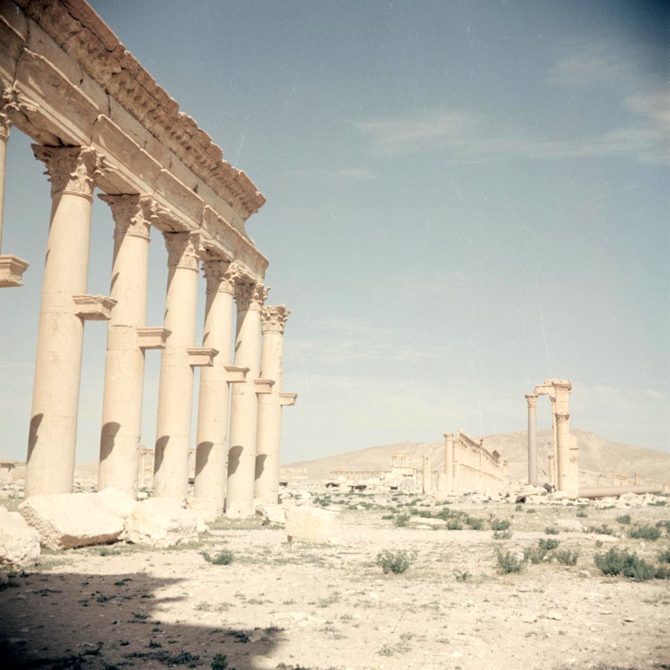 Beeld van een zuilengalerij in Palmyra, Bestanddeelnr 255-9780