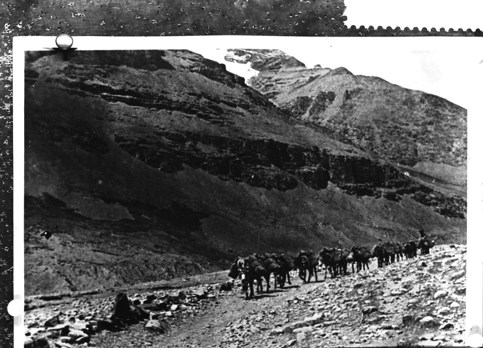 Beeld van het landschap in Tibet, Bestanddeelnr 910-2398