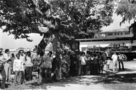 Beeld van Koningin Wilhelmina bij Fort Zeelandia in Paramaribo geplaatst (overzi, Bestanddeelnr 928-7629