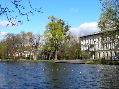 Bdg StaryKanalBydgoski 10 4-2015