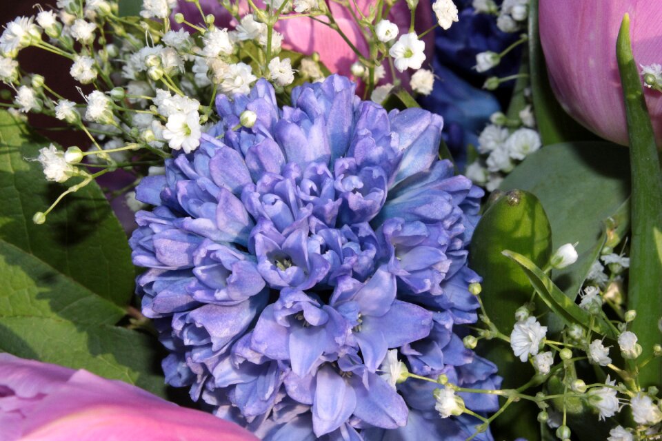 Fragrance spring bouquet cut flowers
