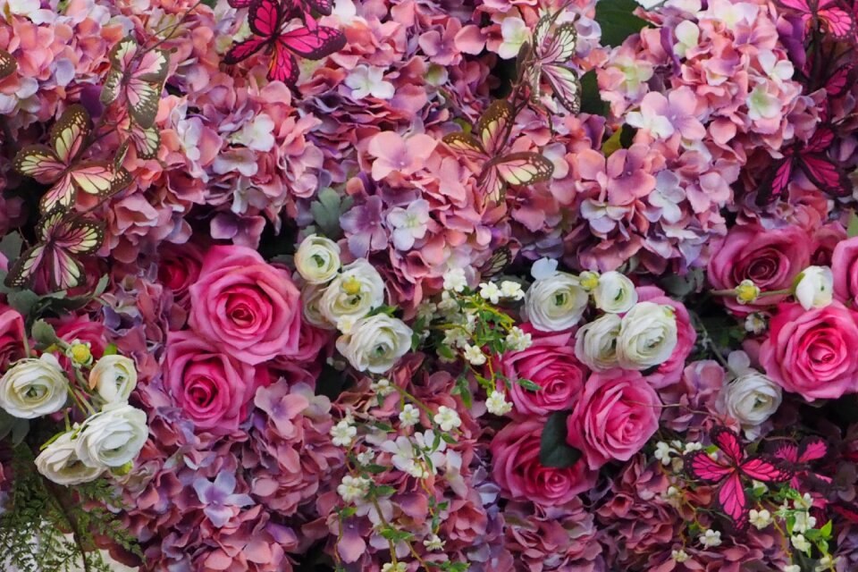 Pink flowers butterfly bouquet photo