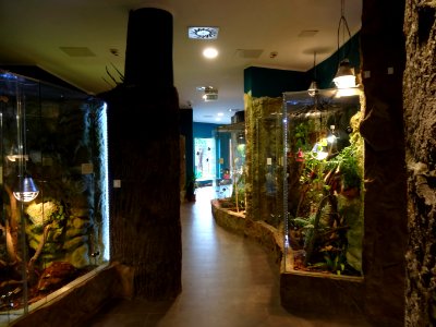 Bdg zoo terrarium 10 01-2015