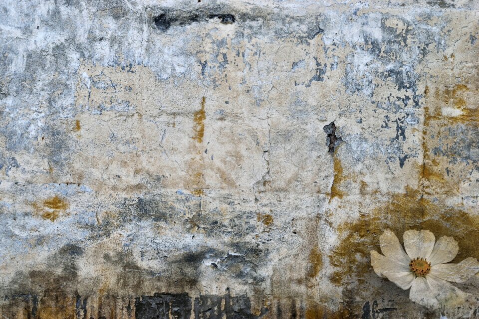 Wallpaper background wall