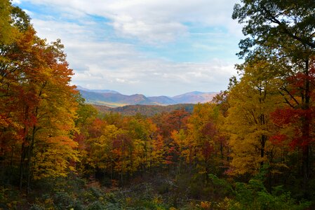 Mountains nature tennessee photo