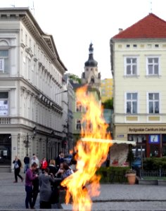 Bdg ul Batorego Sad zna 5-2015