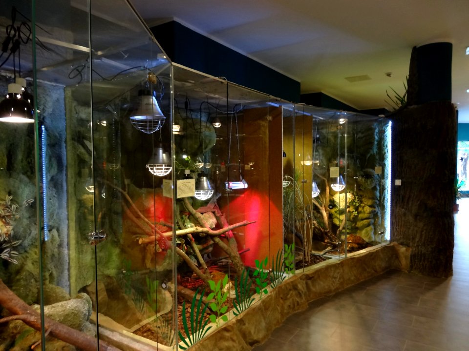 Bdg zoo terrarium 8 01-2015