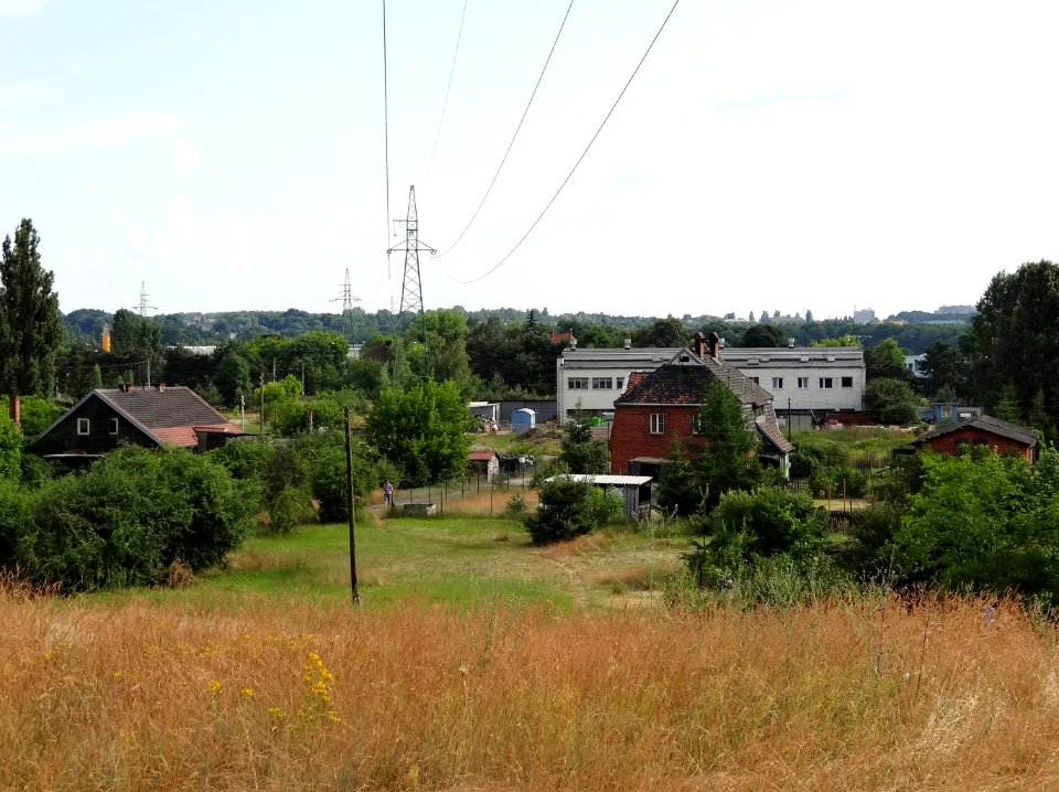 Bdg Siernieczek zb 10 07-2013
