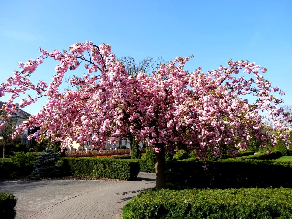 Bdg skwerTurwida 2 4-2015