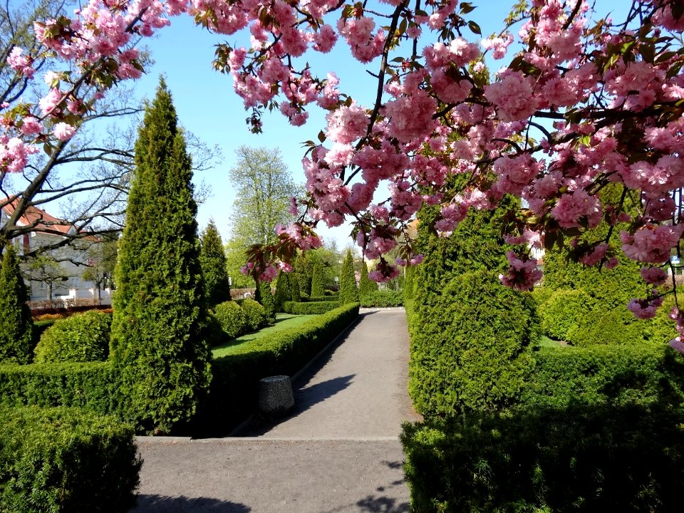 Bdg skwerTurwida 4 4-2015