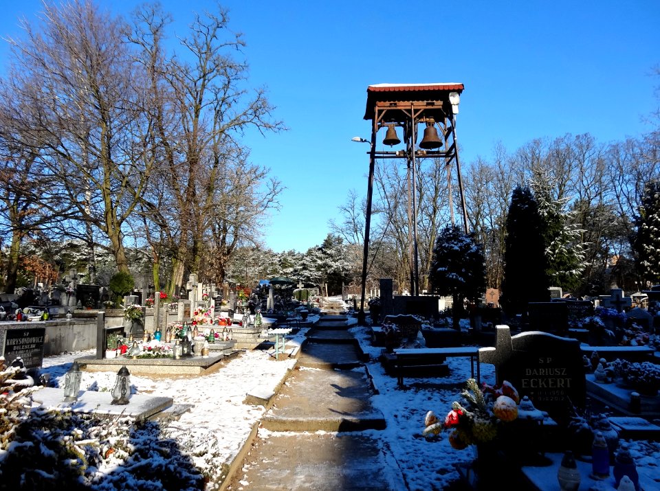 Bdg Siernieczek cemetery1 01-2015