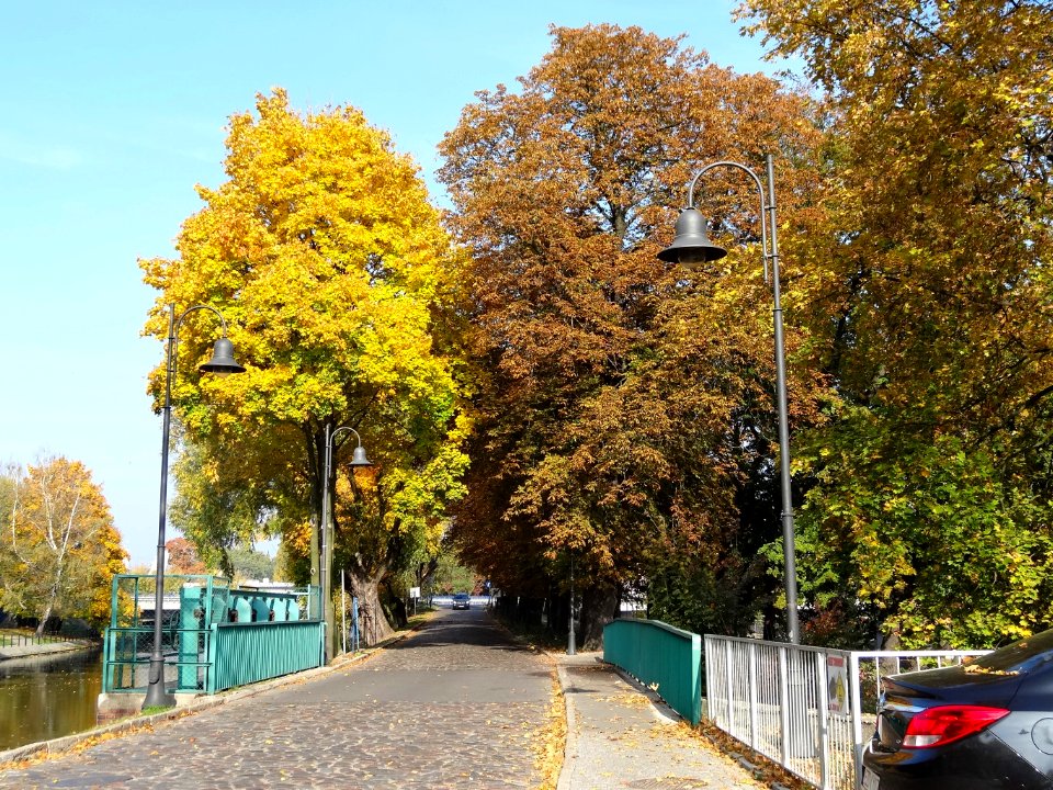 Bdg ulMennica 4 10-2013
