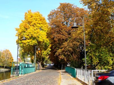 Bdg ulMennica 4 10-2013