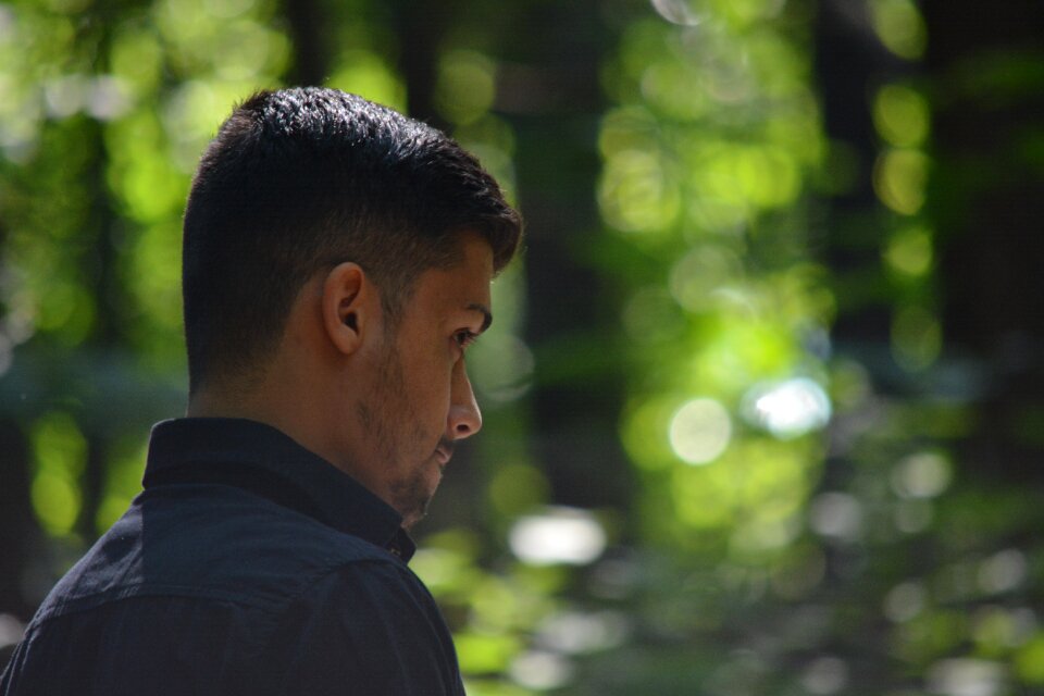 Afghan forest perspective