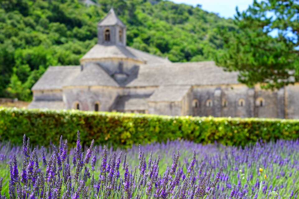 Notre dame de sénanque the order of cistercians gordes