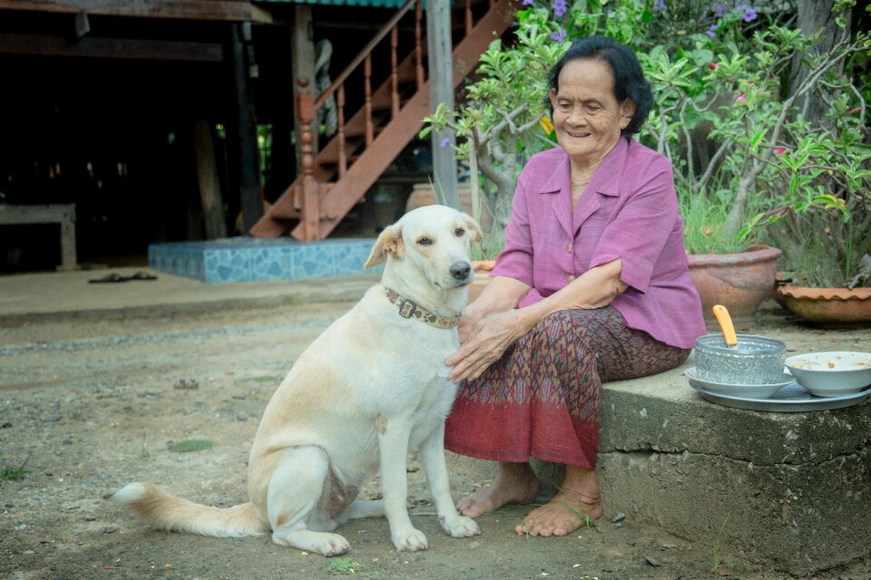 Animals cute breed