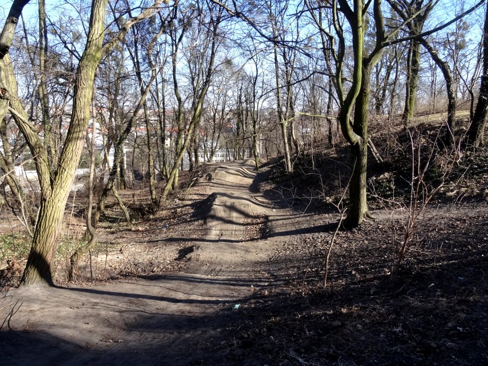 Bdg WzgWoln park 1
