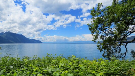 Swiss lake water photo