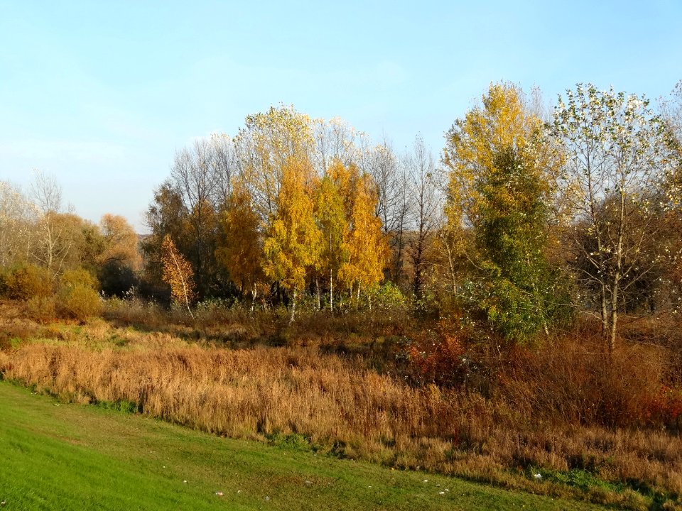 Bdg Wisla walFordon 4 10-2013