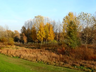 Bdg Wisla walFordon 4 10-2013