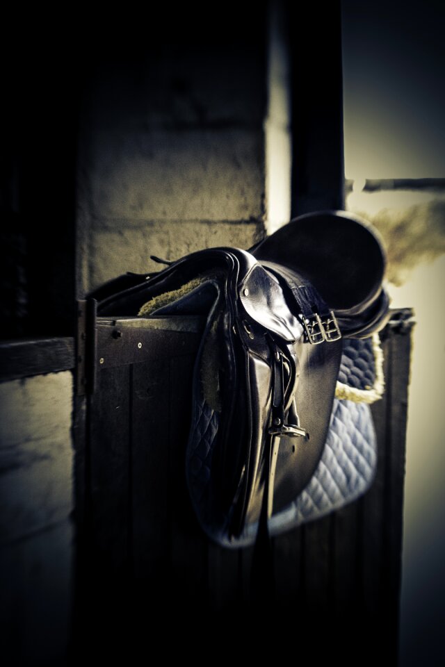 Horse bridle riding