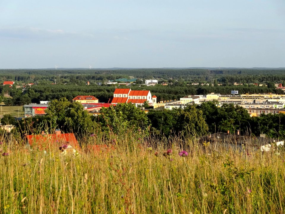 Bdg widokzeZbFord 14 07-2013