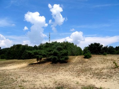 Bdg ZboczeFordonskie 8 2018 a4