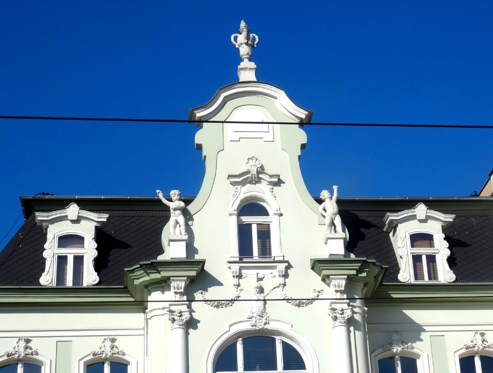 Bdg willaWeidnera 10-18 3