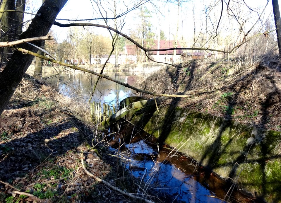 Bdg Zolwin staw lesniczowka1 3-2015