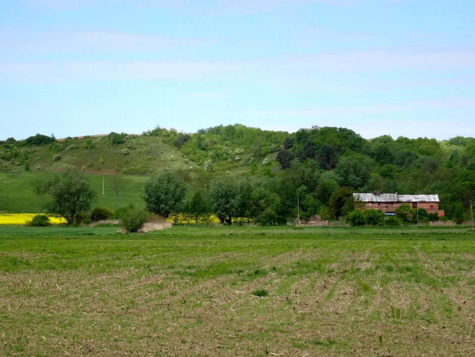 Bdg ZboczeFordonskie Jaruzyn 9 5-2015