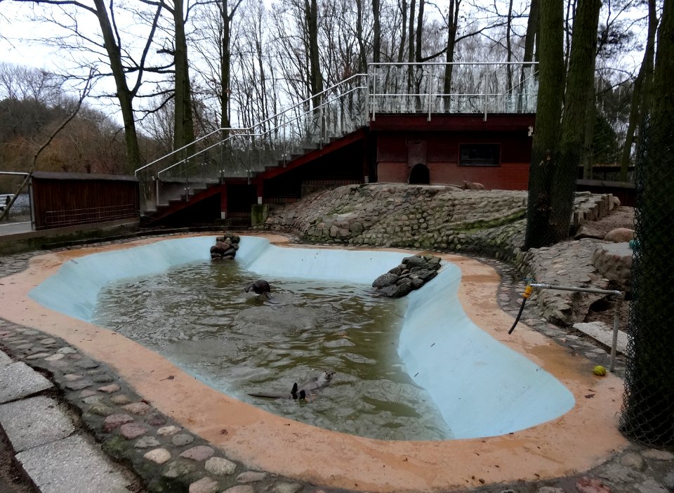 Bdg zoo 24 12-2014