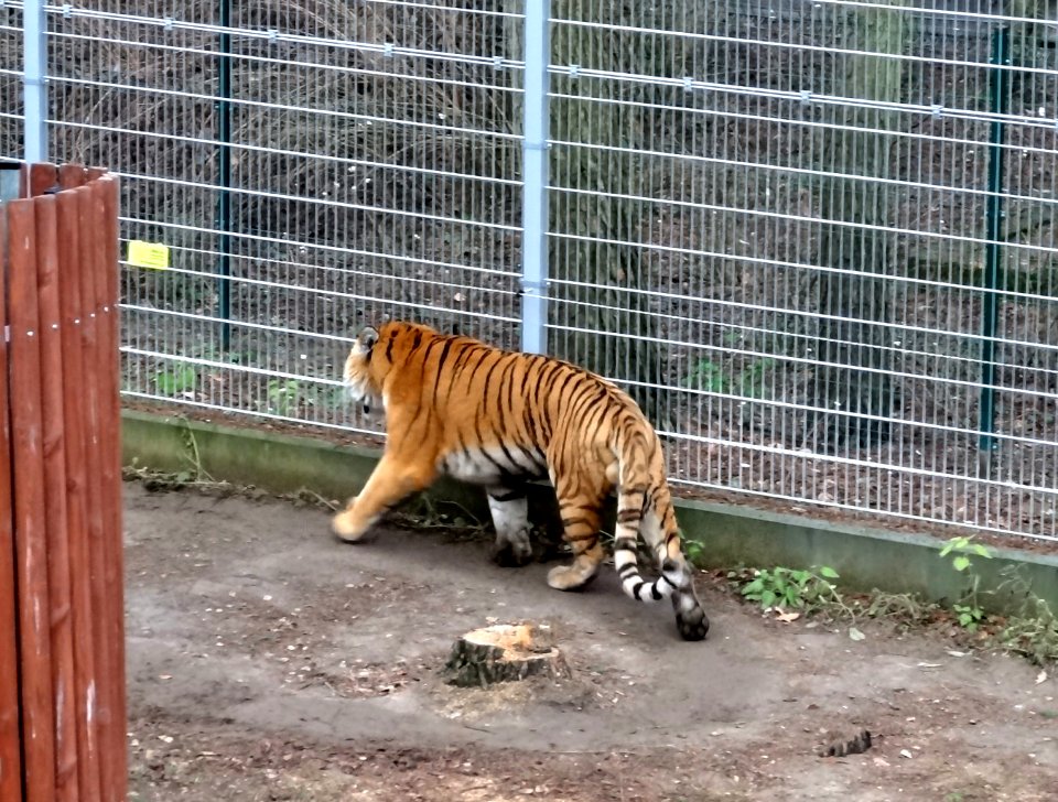 Bdg zoo 5 12-2014