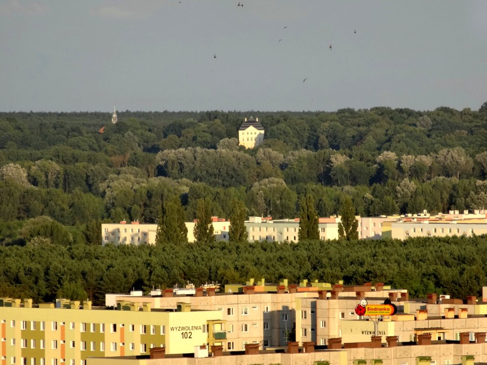 Bdg widokzeZbFord 27 07-2013