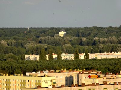 Bdg widokzeZbFord 27 07-2013