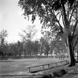 Beëdiging van de militairen Cordesius en Walraven tot 1ste luitenant in kamp Mo…, Bestanddeelnr 255-8289