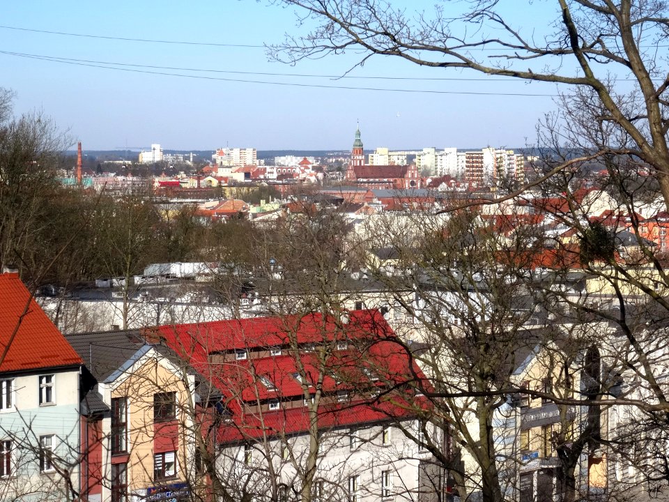 Bdg WzgWoln park view5