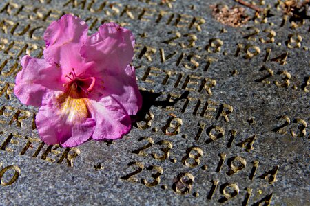 Stone monument first world war