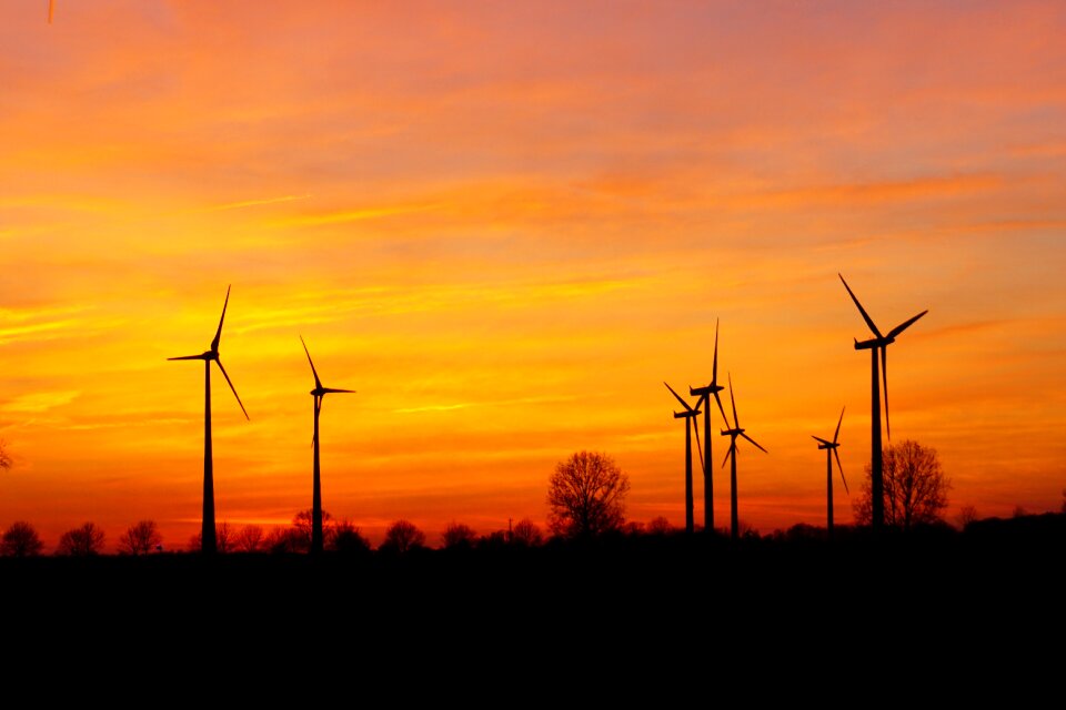 Evening sky wind park afterglow