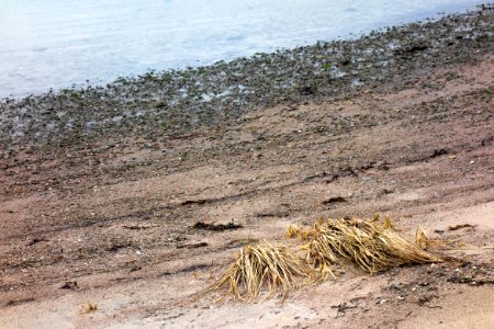 Beach in Sandvik 3 photo