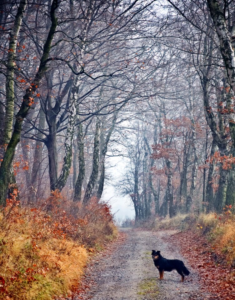 Friend way autumn