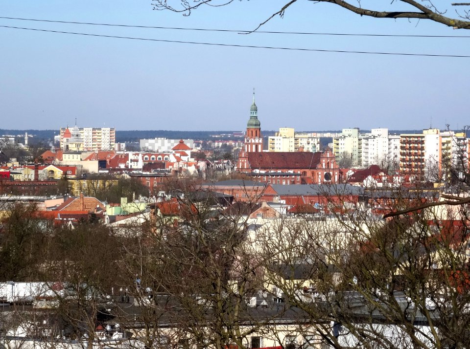 Bdg WzgWoln park view1