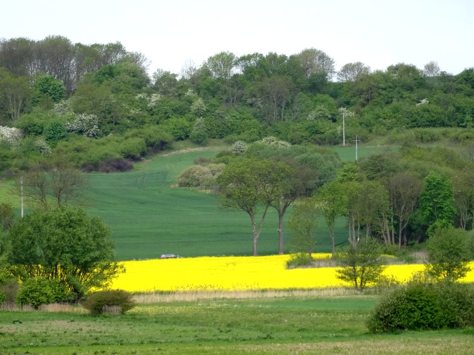 Bdg ZboczeFordonskie Jaruzyn 15 5-2015