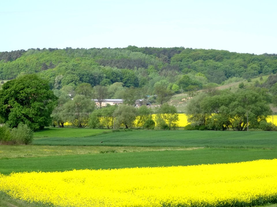 Bdg ZboczeFordonskie Jaruzyn 12 5-2015