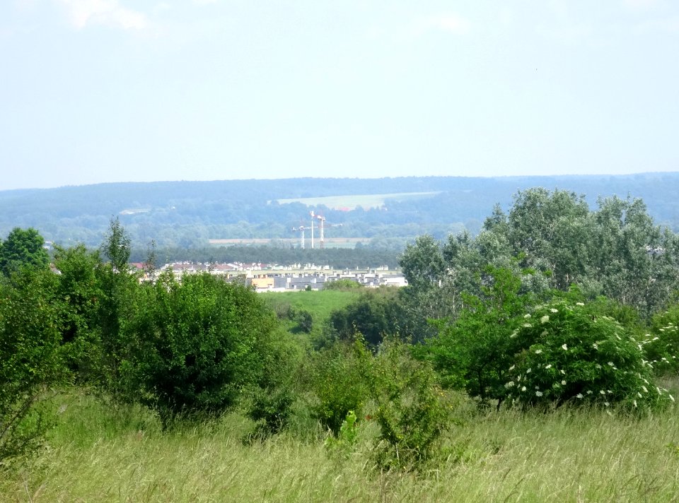 Bdg ZFview 6 2018 2